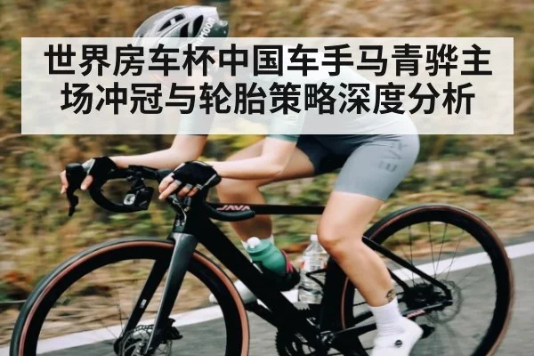 世界房车杯中国车手马青骅主场冲冠与轮胎策略深度分析